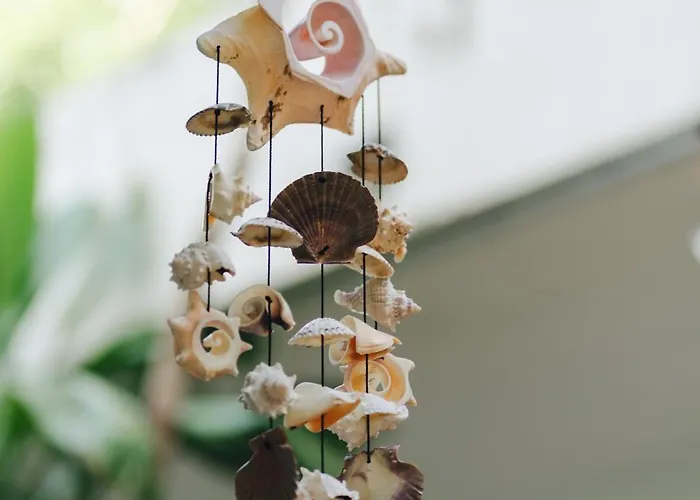 Edem Hotel Cozumel