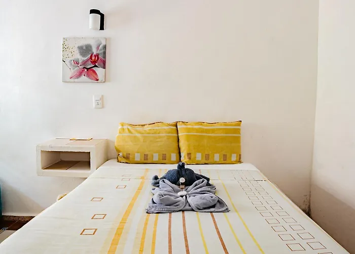 Edem Hotel Cozumel