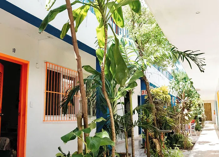 Hotel Edem Cozumel