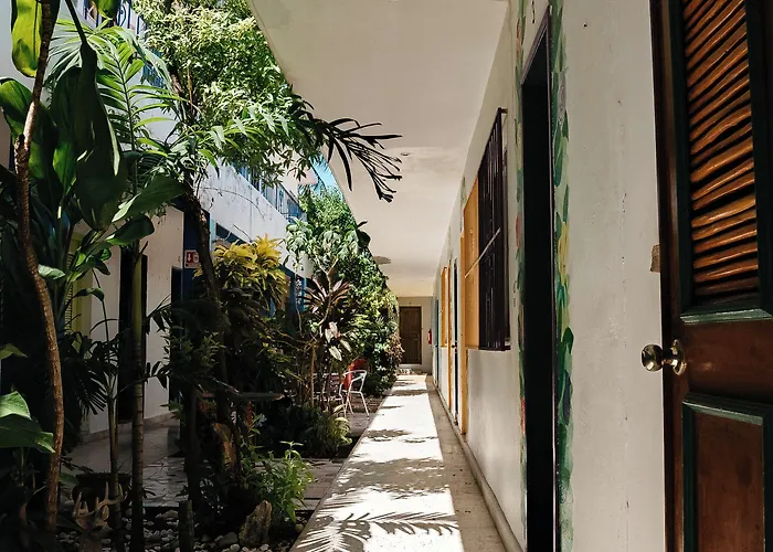 Edem Hotel Cozumel