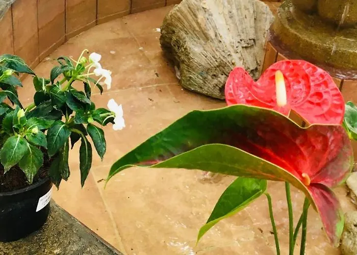 Edem Hotel Cozumel