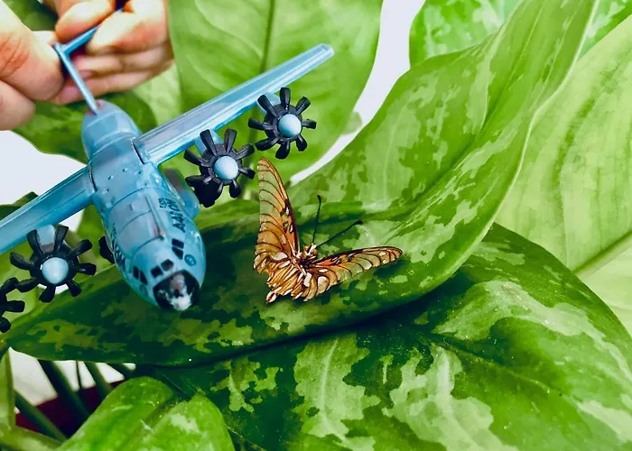 Edem 3* Cozumel